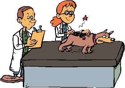 VETERINAIRE.gif