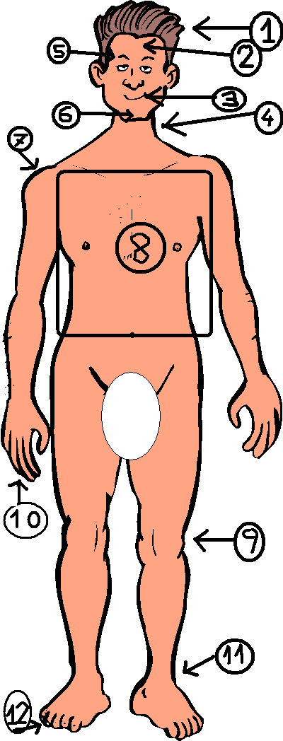 homme-numero.GIF