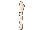 jambe.gif