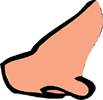 nez.gif