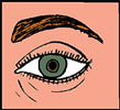 oeil.gif