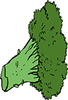 BROCOLI.gif