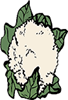 CHOU-FLEUR.gif