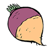 RADIS.gif